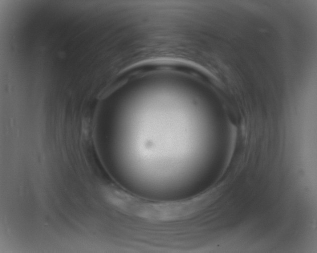 X0000083590033200702091205