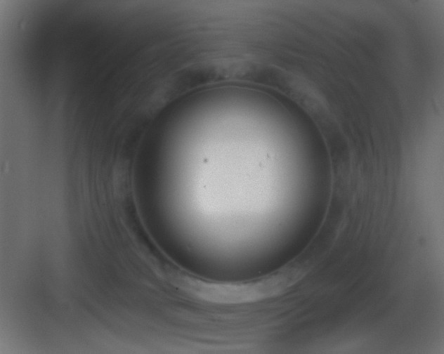 X0000083590034200702091205