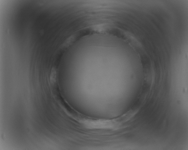 X0000083590036200702091205