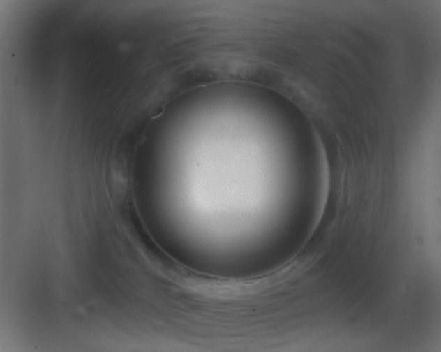 X0000083590040200702091205