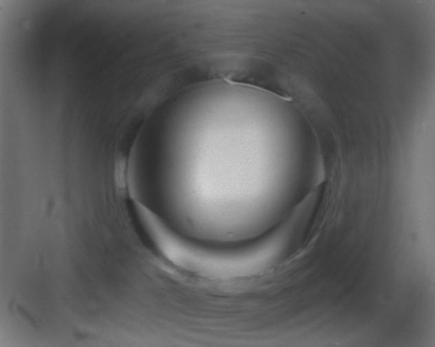 X0000083590041200702091205
