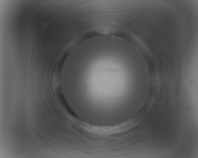 X0000083590043200702091205