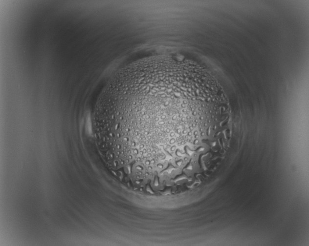 X0000083590046200702091205