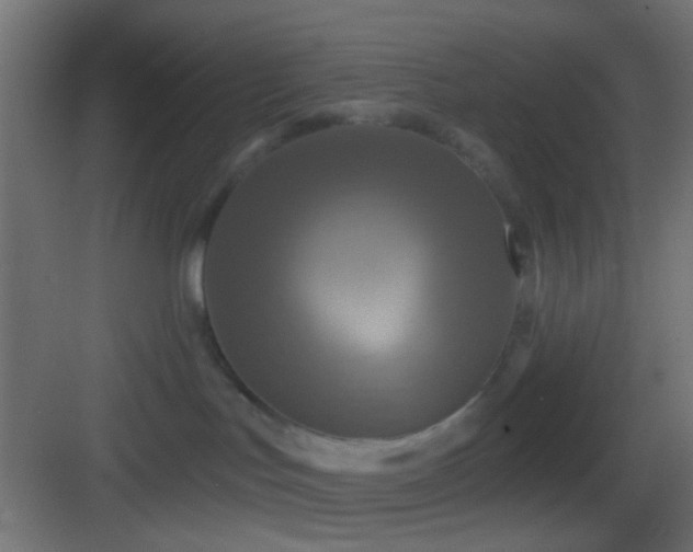 X0000083590047200702091205