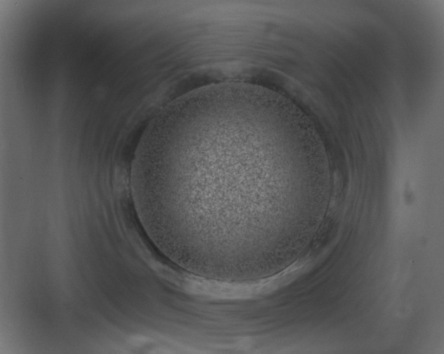 X0000083590048200702091205
