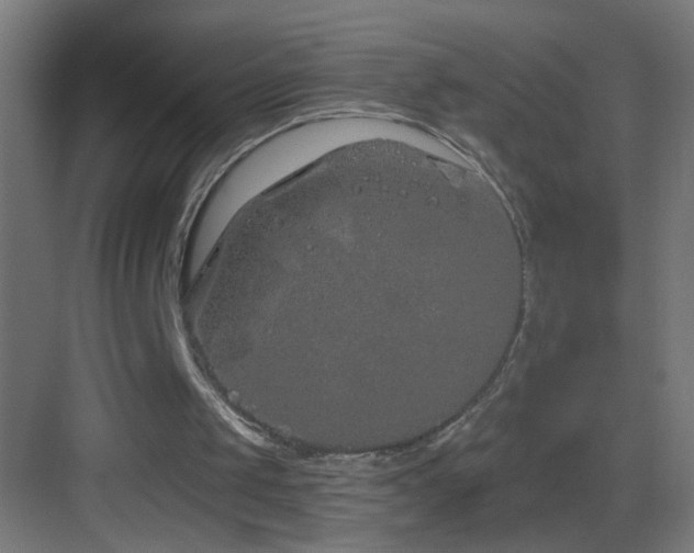 X0000083590049200702091204