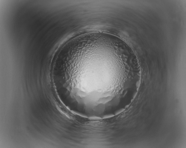 X0000083590050200702091204