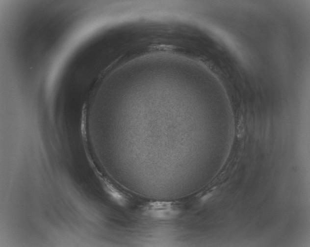 X0000083590052200702091204