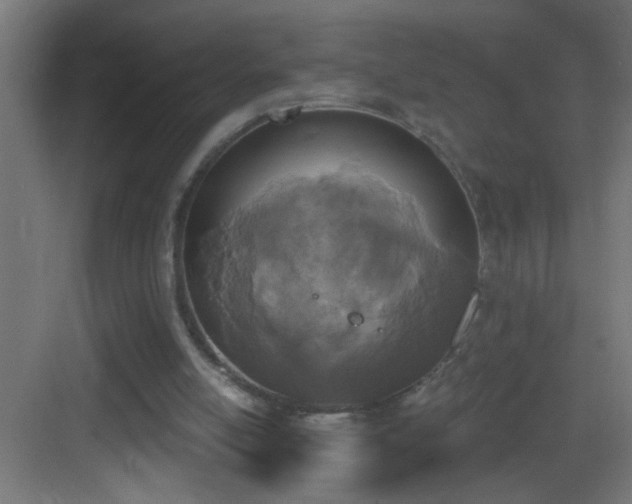 X0000083590054200702091204