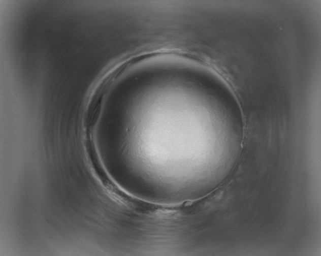 X0000083590055200702091204