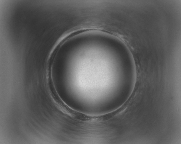 X0000083590056200702091204