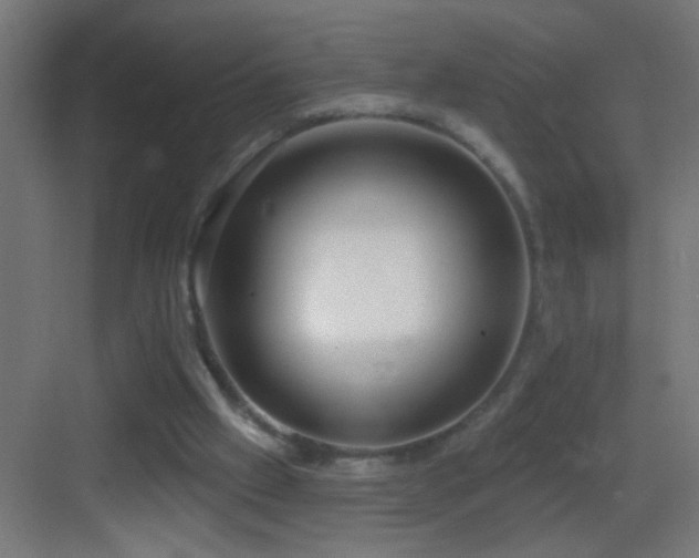 X0000083590057200702091204