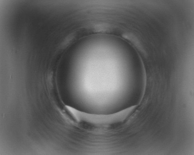 X0000083590066200702091204