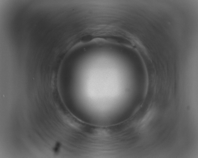 X0000083590073200702091204