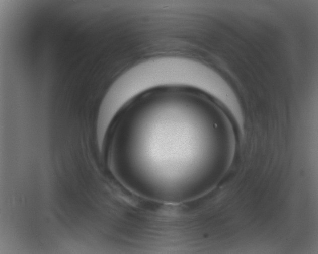 X0000083590076200702091205