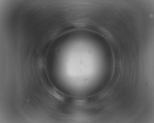 X0000083590081200702091205