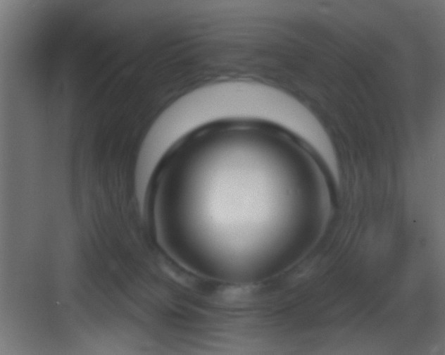 X0000083590084200702091205