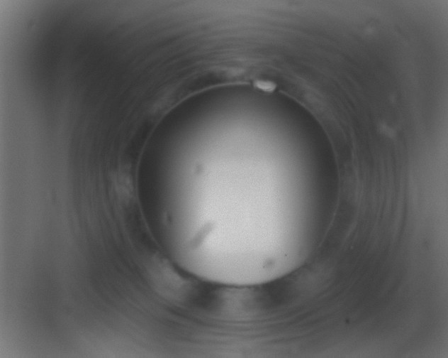 X0000083590085200702091205