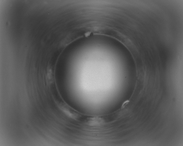 X0000083590087200702091205