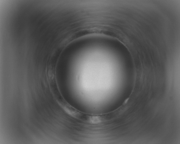 X0000083590091200702091205