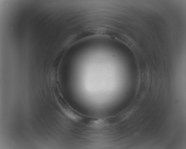 X0000083590092200702091205