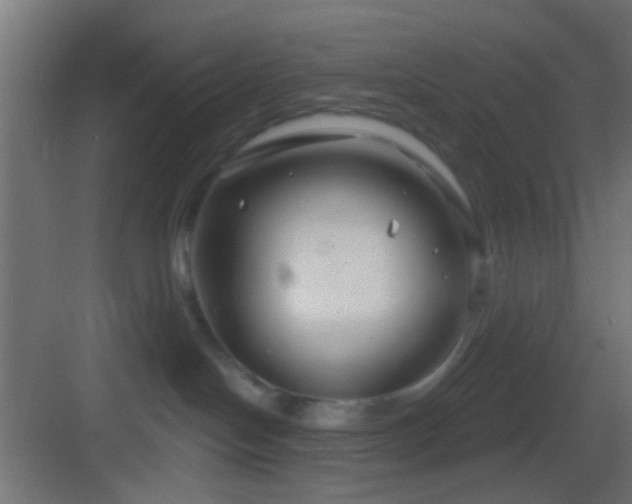 X0000083590094200702091205