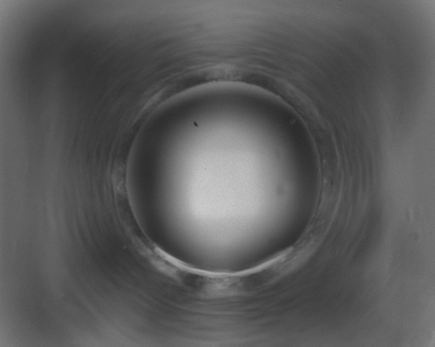 X0000083590096200702091205