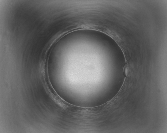 X0000083590098200702091204