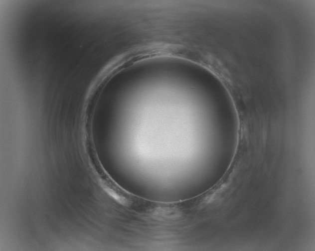 X0000083590101200702091204