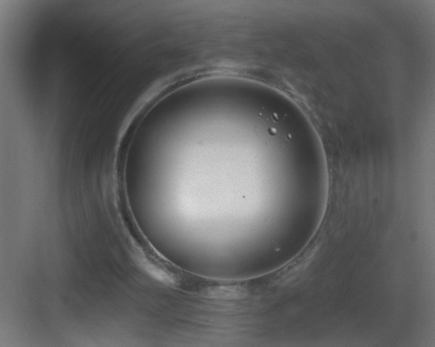 X0000083590102200702091204