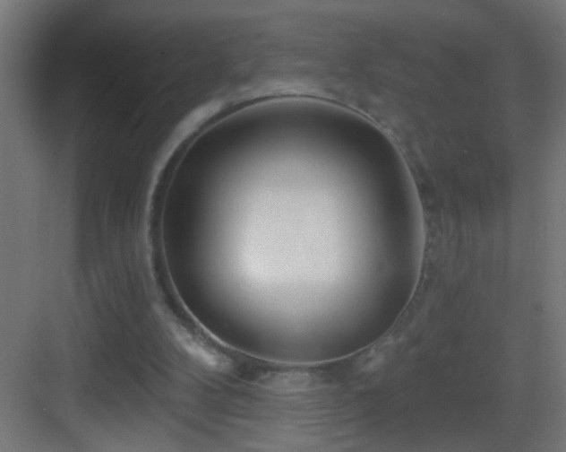 X0000083590104200702091204