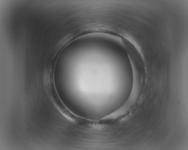 X0000083590105200702091204