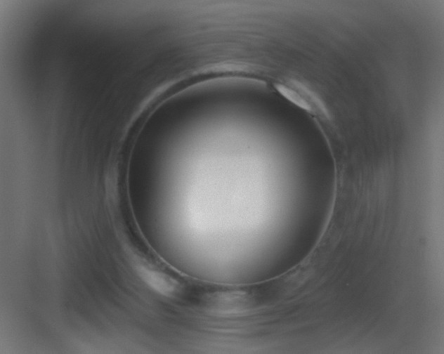 X0000083590108200702091204