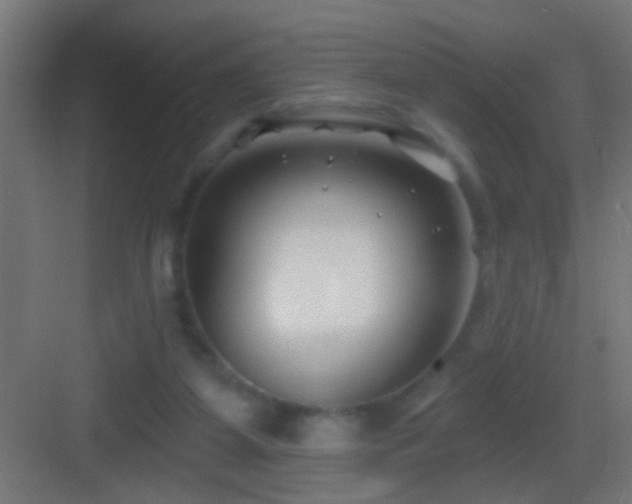 X0000083590115200702091204