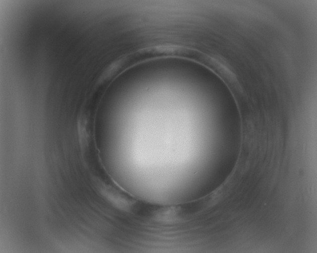 X0000083590116200702091204