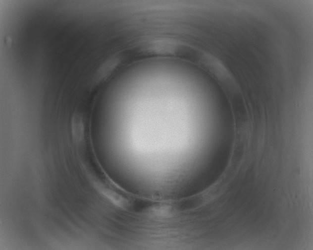 X0000083590120200702091204