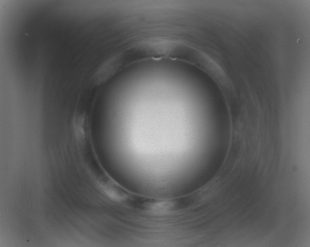 X0000083590122200702091204