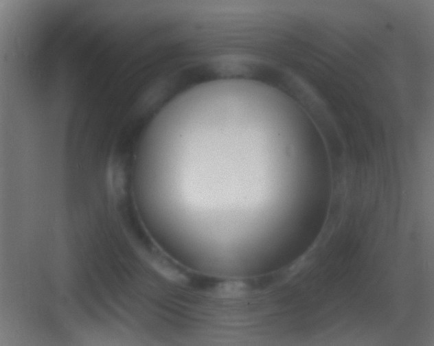 X0000083590124200702091204