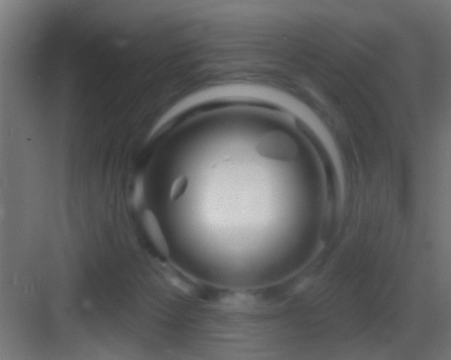 X0000083590125200702091204