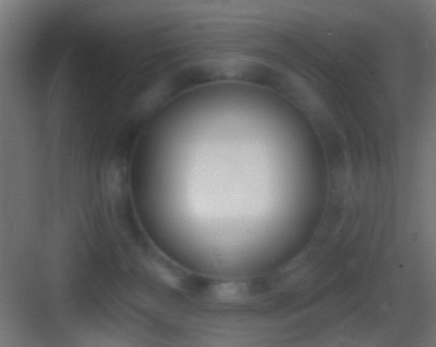 X0000083590126200702091204