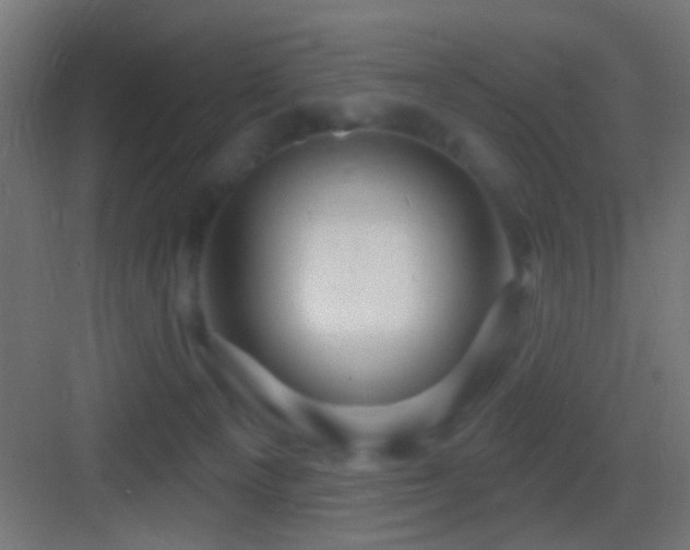 X0000083590129200702091203