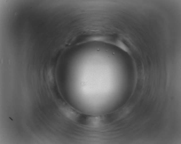 X0000083590131200702091203