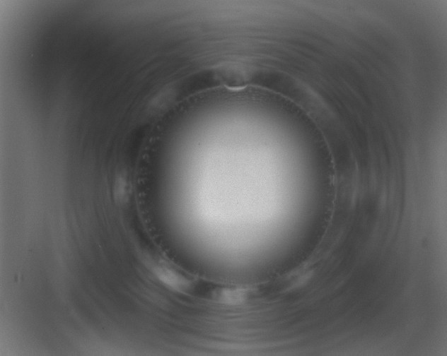 X0000083590134200702091203