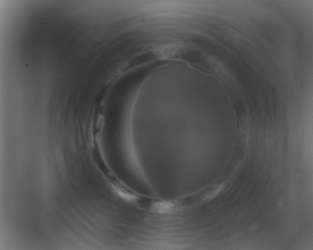 X0000083590139200702091203