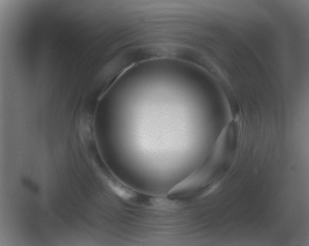 X0000083590141200702091203