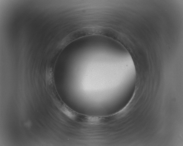 X0000083590144200702091203