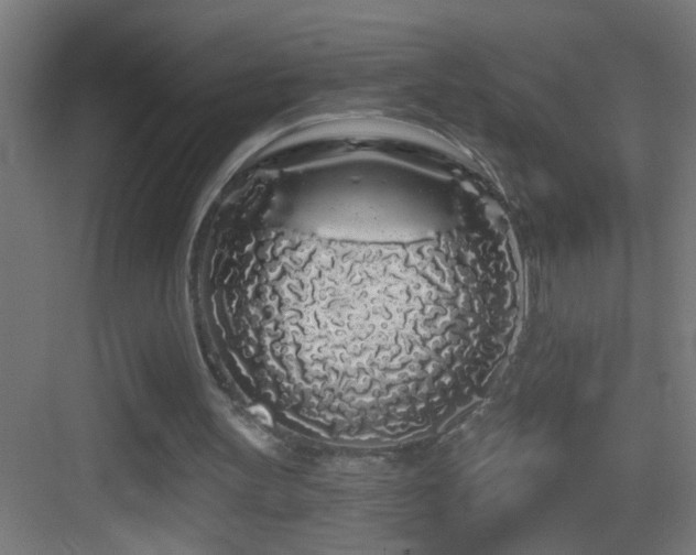 X0000083590147200702091202