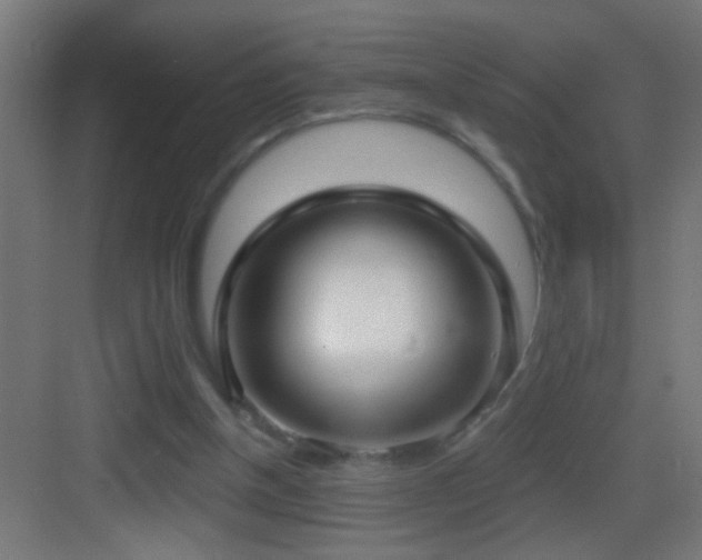 X0000083590154200702091203