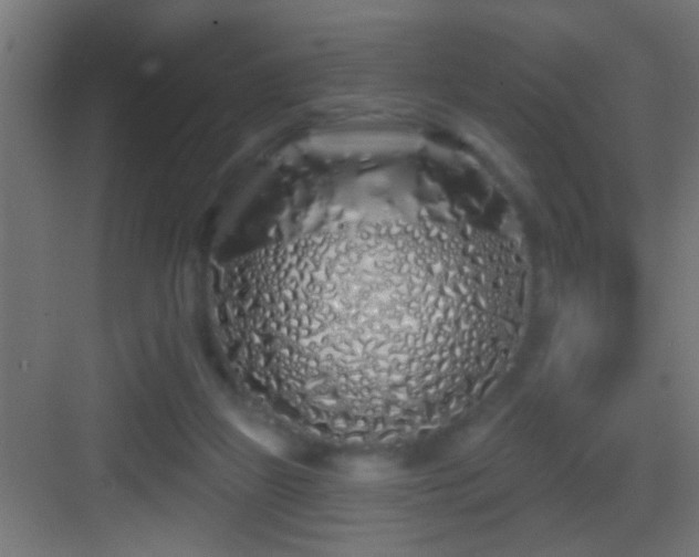 X0000083590165200702091203