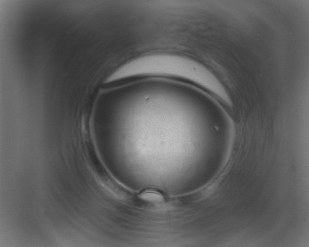 X0000083590166200702091203